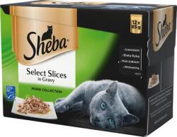 Sheba Selection in Sauce Mix Smaków 12 x 85g