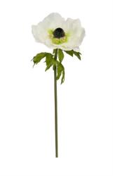  Selyemvirág óriás anemone 150x50cm krém