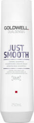 Goldwell Dualsenses Just Smooth șampon pentru păr 250 ml