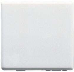 Gewiss Tasta falsa 2 module Gewiss System GW20073 (GW20073)