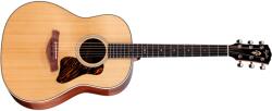 Taylor Gold Label 517e
