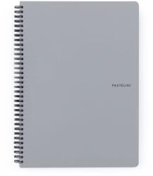 KARTON P+P Pastelini Twin wire A4 PP szürke (8-804)