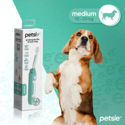 Petsie E-tech kutyafogkefe (M méretben 10-20kg)