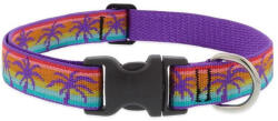 Lupine Pet nyakörv (Sunset Beach 2, 5 cm széles 41-71 cm) (WLF68453)