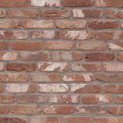 Terca Caramida plina Terca Belle Epoque de Durbuy 215x102x65 mm (Terca-177010)