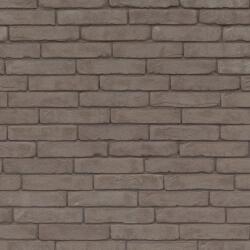 Terca Caramida plina Terca Pagus Grey 215x102x65 mm (Terca-12808512)