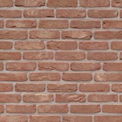 Terca Caramida plina Terca Rustica Old Malle 215x102x65 mm (Terca-171910)