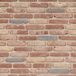 Terca Caramida plina Terca Belle Epoque de Mons 215x102x65 mm (Terca-12710112)