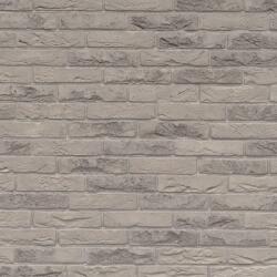 Terca Caramida plina Terca Agora Agate Gray 215x102x65 mm (Terca-12152210)