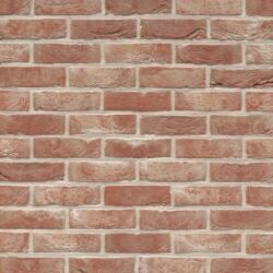 Terca Caramida plina Terca Patrimonia Old Rieme 215x102x65 mm (Terca-12801312)