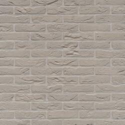 Terca Caramida plina Terca Agora Silver Gray 215x102x65 mm (Terca-1152615)