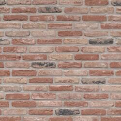 Terca Caramida plina Terca Rustica Old Fieldstone 215x102x65 mm (Terca-12715410)