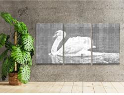 PontPöttyöző - Fehér hattyú (3 db-os készlet) Méret: 40x60cm (3db), Keretezés: Kartonlemezen, Szín: Fekete