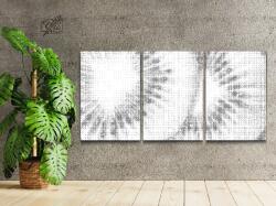  PontPöttyöző - Kivi háttér (3 db-os készlet) Méret: 30x40cm (3db), Keretezés: Műanyagtáblával, Szín: Fekete