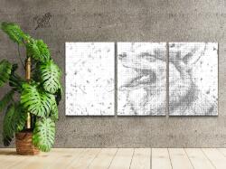 PontPöttyöző - Corgi (3 db-os készlet) Méret: 30x40cm (3db), Keretezés: Keret nélkül (csak a vászon), Szín: Fekete