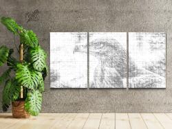  PontPöttyöző - Ragadozó madár (3 db-os készlet) Méret: 40x60cm (3db), Keretezés: Kartonlemezen, Szín: Fekete