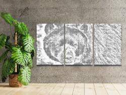  PontPöttyöző - Medve (3 db-os készlet) Méret: 40x60cm (3db), Keretezés: Keret nélkül (csak a vászon), Szín: Zöld