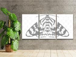  PontPöttyöző - Színes molylepke (3 db-os készlet) Méret: 40x60cm (3db), Keretezés: Műanyagtáblával, Szín: Piros