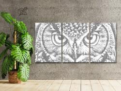 PontPöttyöző - Bagoly tekintete (3 db-os készlet) Méret: 40x60cm (3db), Keretezés: Keret nélkül (csak a vászon), Szín: Fekete