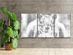  PontPöttyöző - Mókus (3 db-os készlet) Méret: 40x60cm (3db), Keretezés: Műanyagtáblával, Szín: Zöld