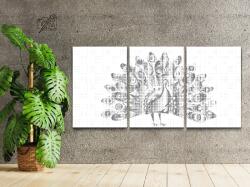 PontPöttyöző - Büszke páva (3 db-os készlet) Méret: 30x40cm (3db), Keretezés: Műanyagtáblával, Szín: Fekete