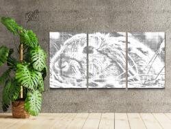 PontPöttyöző - Nyúl (3 db-os készlet) Méret: 40x60cm (3db), Keretezés: Keret nélkül (csak a vászon), Szín: Fekete