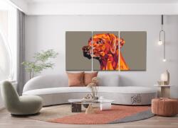  Festés számok szerint - Geometrikus kutya (3 db-os készlet) Méret: 30x40cm (3db), Keretezés: Kartonlemezen