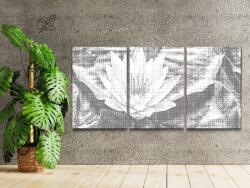  PontPöttyöző - Lótuszvirág, a bölcsesség jelképe (3 db-os készlet) Méret: 40x60cm (3db), Keretezés: Műanyagtáblával, Szín: Piros