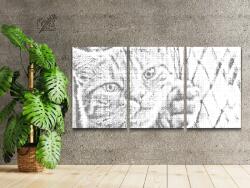 PontPöttyöző - Macska a kerítésen (3 db-os készlet) Méret: 30x40cm (3db), Keretezés: Kartonlemezen, Szín: Fekete
