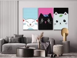 Gyémánt kirakó - Három játékos cica (3 db-os készlet) Méret: 40x60cm (3db), Keretezés: Műanyagtáblával, Gyémántok: Négyzet alakú