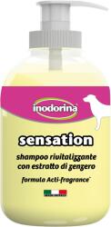 DT Sampon Sensation cu extract de ghimbir 300 ml