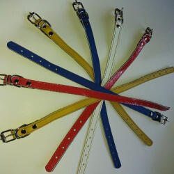 DT Zgarda piele 1, 5 cm 35 cm nr 1 mix color