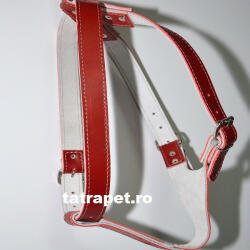 DT Ham piele reglabil 85 - 95 cm Nr 4 rosu
