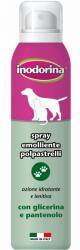 DT Spray protectie labute cu glicerina si vit b5 Inodorina