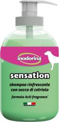 DT Sampon Sensation cu extract de castraveti 300 ml