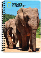 Sparkys 3D A5 Elefántok