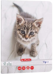 Herlitz Caiet Tip 1 Herlitz, 36 file, 80g/mp, colturi rotunjite, Motiv Cats & Dogs (9497720)