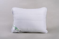  Aloe Vera kispárna 40x50cm