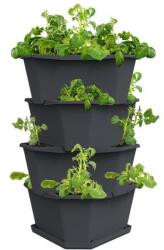 Gusta Garden PAUL POTATO 4 szintes önöntöző virágcserép, antracit (GG-100341)