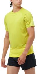 Salomon Cross Run Ss Tee M D - cipok - 8 490 Ft