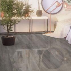 Falquon Parchet laminat lucios Falquon WOOD 2.0 HG D4187