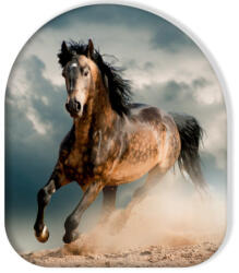 Carbotex Lovas Wild Stallion formapárna, díszpárna CBX214002KNL (CBX214002KNL)