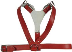 DT Ham piele lata 90 - 110 cm Nr 5 rosu