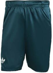 adidas Pantali scurți pentru bărbați Tennis Pro Climacool Ergo Shorts Aurora Ivy XXL