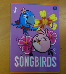Santoro Angry Birds vonalas füzet, pink (PI_2020_AB_p)