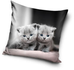 Carbotex Cicás Twins párnahuzat 40x40 cm Velúr (CBX235044PNL)