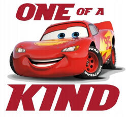 Carbotex Disney Verdák Kind párnahuzat 40x40 cm Velúr (CBX231201CAR)