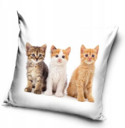 Carbotex Cicás Squad párnahuzat 40x40 cm (CBX231195PNL)