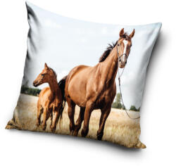 Carbotex Lovas Loyal Hearts párnahuzat 40x40 cm (CBX231196PNL)