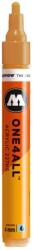 MOLOTOW Marker acrilic Molotow ONE4ALL 227HS 4 mm (MLW169)